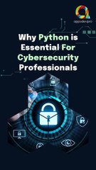 The Importance of Python for Cybersecurity Professionals
