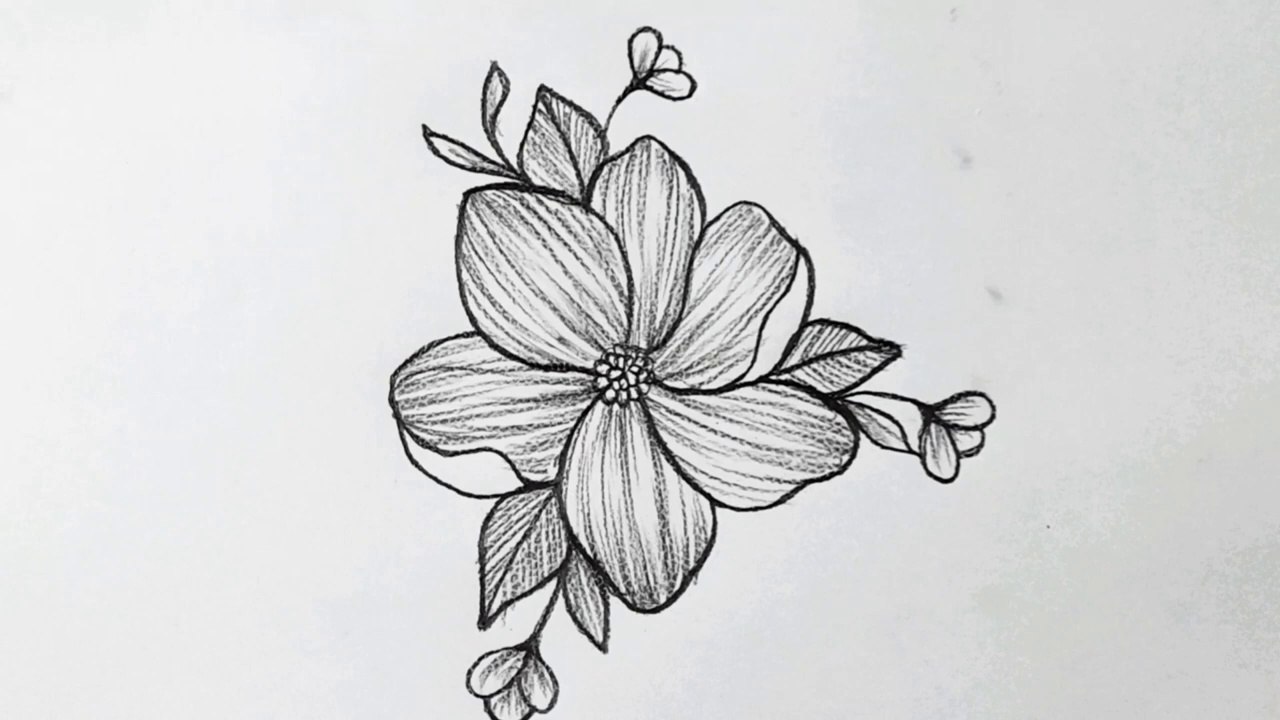 How to draw a flower easy step by step with pencil video Dailymotion