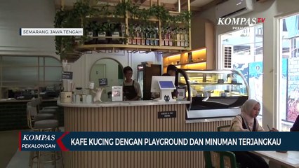 下载视频: Kafe Kucing di Kota Semarang, Surga bagi Pecinta Kucing