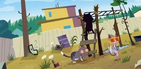 Kid vs Kat Kid vs Kat S01 E006 Hypnokat / The Allergy