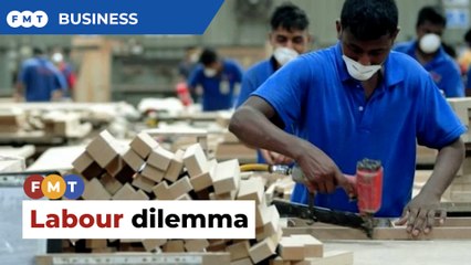 Businesses in a fix over freeze on workers from India