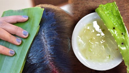 सूखे या गीले बालों में ऐलोवेरा कब लगाना चाहिए | Balon Me Aloe Vera Kaise Lagana Chahie | Boldsky