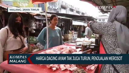 Harga Daging Ayam Di Pasar Tak Juga Turun, Penjualan Merosot