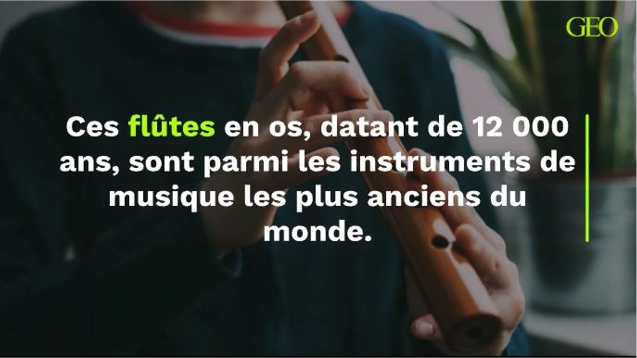 Ces flûtes en os, datant de 12 000 ans, sont parmi les instruments de musique les plus anciens du monde.