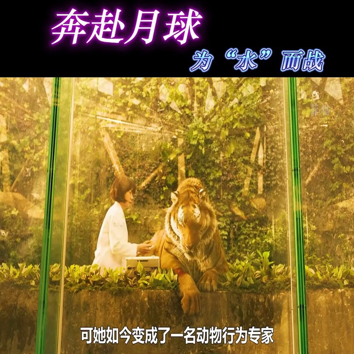 寂静之海