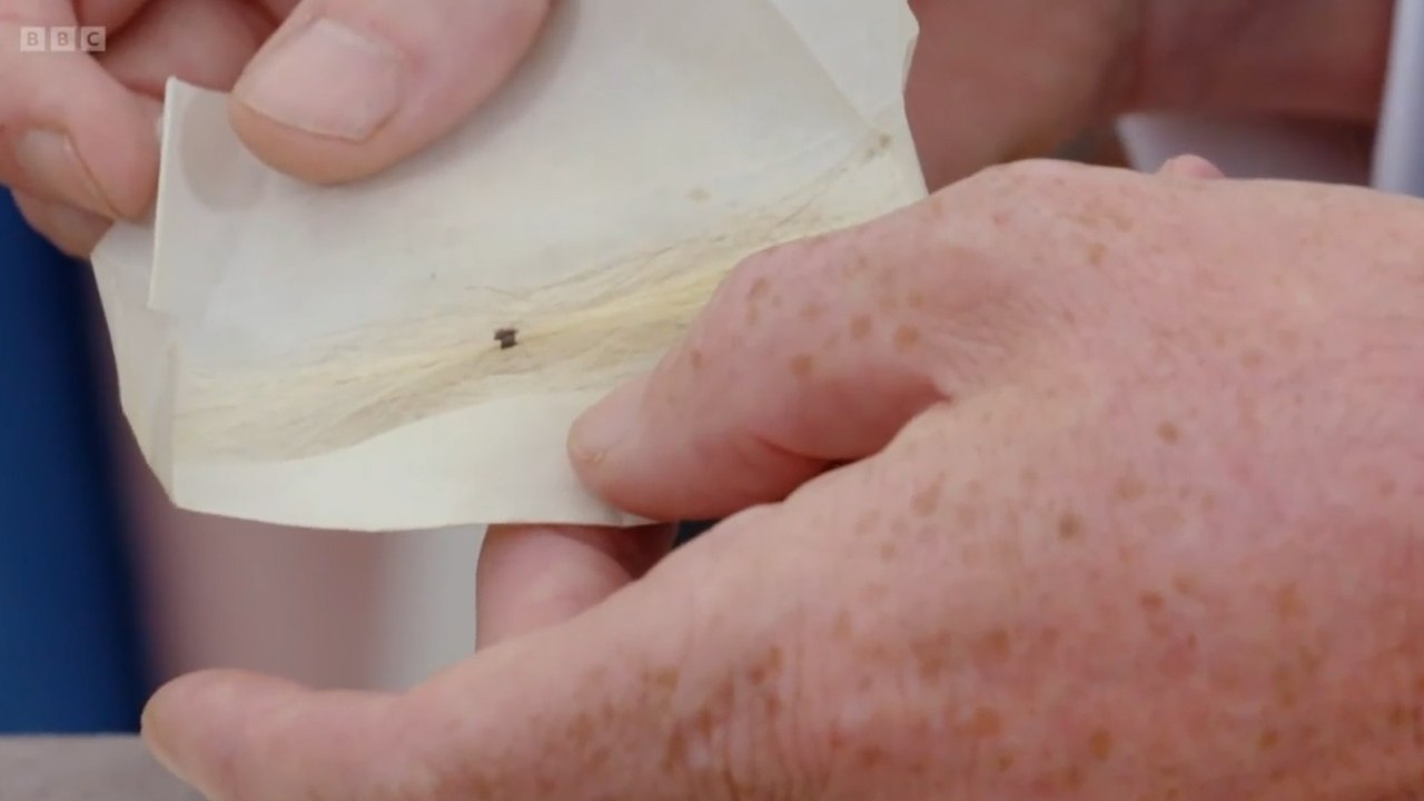 Antiques Roadshow viewers stunned by valuation for lock of Coleridge's hair