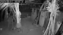 Captan a hondureño robando gallinas en Olanchito