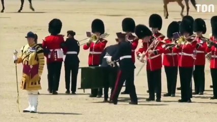 Royaume-Uni : des gardes royaux tombent comme des mouches à cause de la chaleur