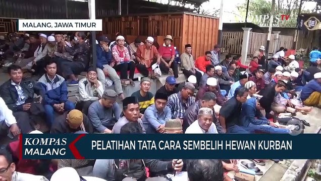 5.000 Hewan Kurban untuk Idul Adha Dibagikan Gratis! Disertai Pelatihan Tata Cara Sembelih