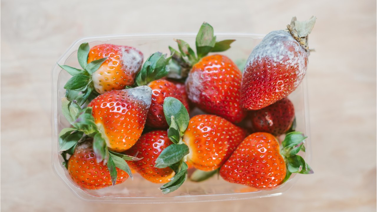 Schimmel auf Erdbeeren: Müssen jetzt alle entsorgt werden?