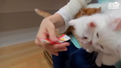  Guess who? CoCo or LaLa?