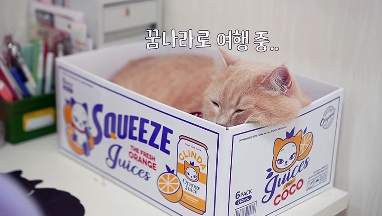 ☁️ How to sing in HEAD VOICE (ENG SUB)