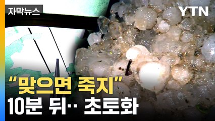 [자막뉴스] 폭격 맞은 듯 처참…"올해 망쳤어요" / YTN