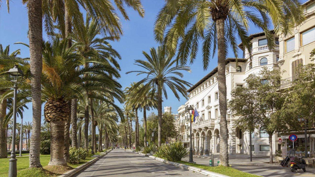 Mallorca: Deutscher wird in Diskothek brutal überfallen