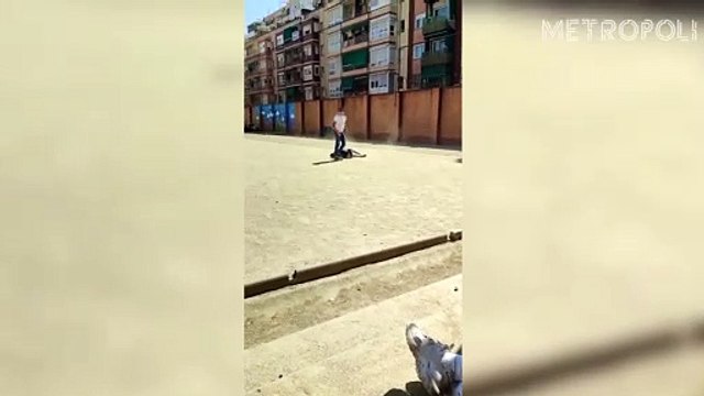 Acoso escolar en el colegio Sant Gabriel de Sant Adrià del Besòs