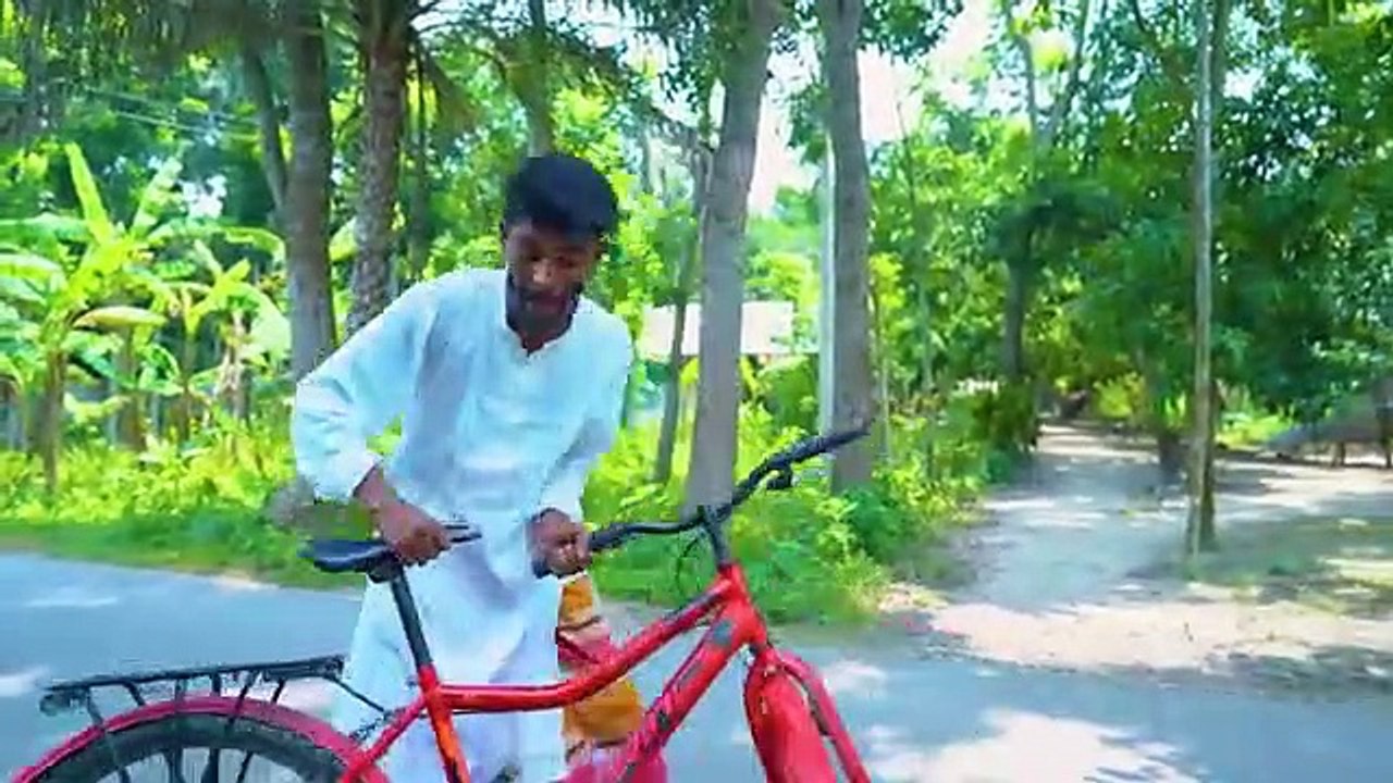 Funny comedy videos