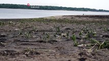 Ucraina, scende il livello dell'acqua dopo la distruzione della diga di Nova Kakhovka