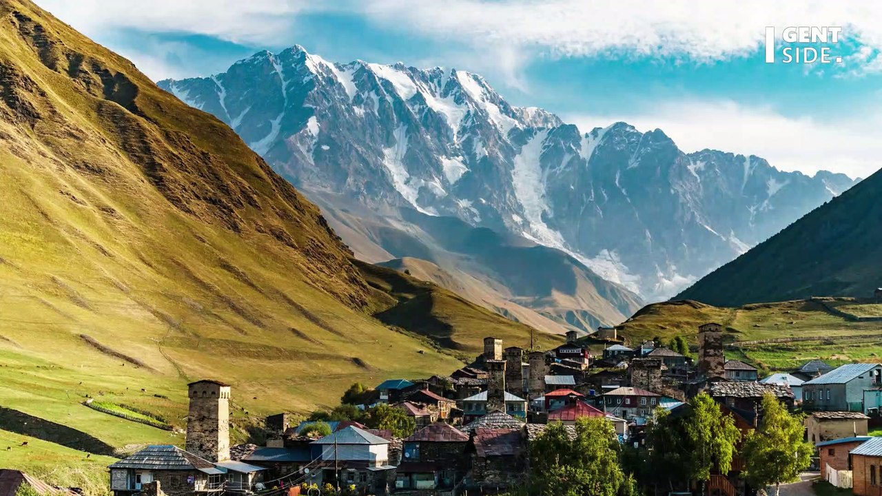 5 choses à savoir sur la Berce du Caucase, l'une des plantes les plus toxiques