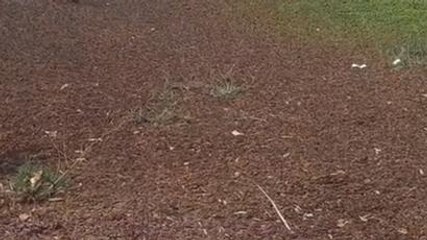 शहडोल: बांध निर्माण के बाबजूद किसान परेशान,जानिए क्या है कारण