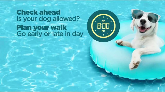 KMTV's top tips to keeping your furry friend cool this summer