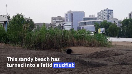 Dnipro river's water level drops upstream of destroyed dam