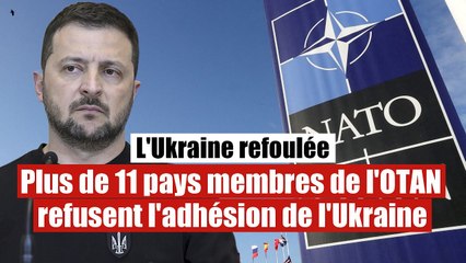 Plus de 11 pays de l'OTAN refusent catégoriquement l'adhésion de l'Ukraine