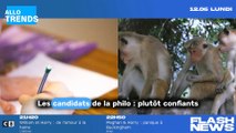 Comment les candidats au Bac 2023 réussissent-ils à éviter le stress lors de l'épreuve de philosophie ?