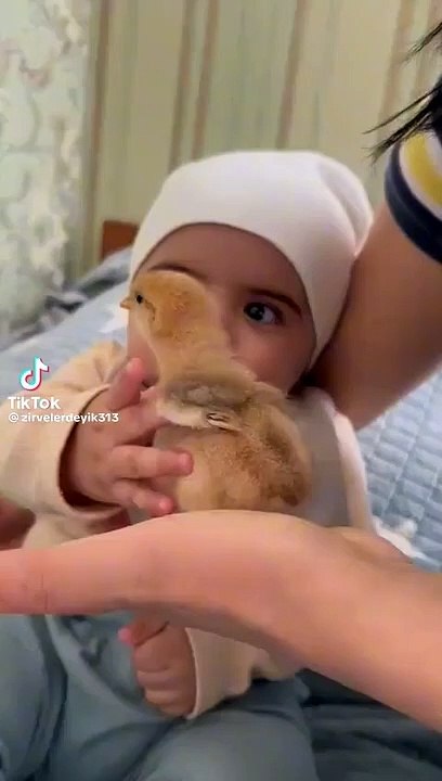 Haye#cutee_lovely_birds