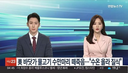 美 바닷가 물고기 수만마리 떼죽음…"수온 올라 숨 못 쉬어"