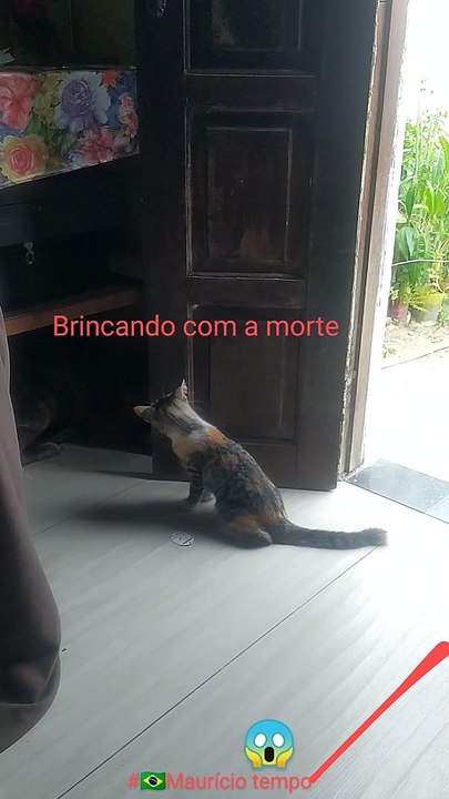 #brincando com o perigo