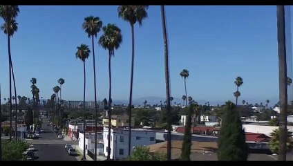 Cheddy Ace Bande-annonce (EN)