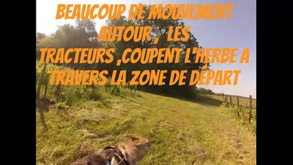 seiko le 17 mai 2023