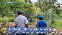 Director de Patrimonio Municipal de Nanchital derriba cercos con los que colonos protegen sus plantíos