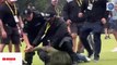 Shocking moment: Adam Hadwin is FLOORED by security while trying to celebrate Nick Taylor's Canadian Open win