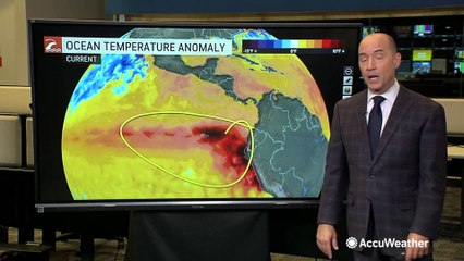 Understanding El Niño and Its Impact on Hurricane Season