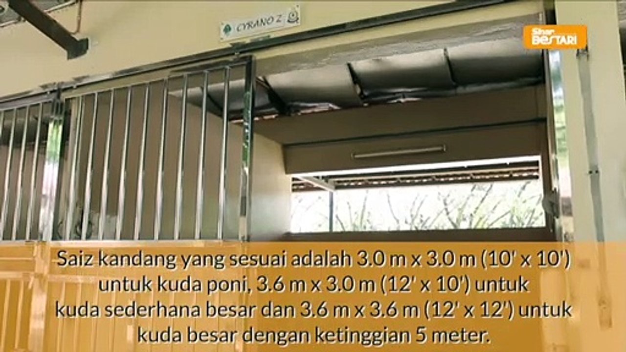 Asas Penjagaan Kuda