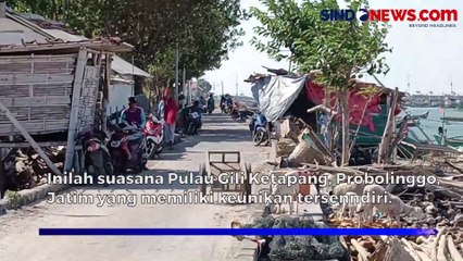 Heboh! Kambing di Pulau Gili Ketapang Probolinggo Makan Kertas Hingga Timba Plastik
