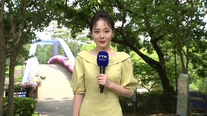 [날씨] 낮 더위 속 곳곳 소나기...벼락·돌풍·우박 유의 / YTN
