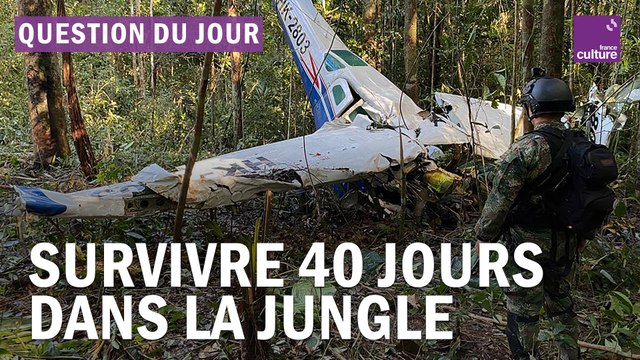 Comment des enfants ont-ils survécu 40 jours dans la forêt amazonienne ?