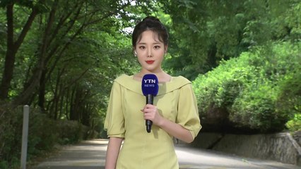 [날씨] 내일도 낮 더위, 소나기 계속...벼락·돌풍·우박 유의 / YTN