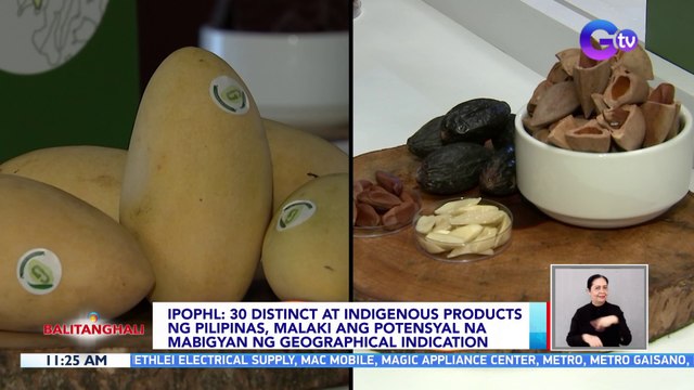 30 distinct at indigenous products ng Pilipinas, malaki ang potensyal na mabigyan ng geographical indication — IPOPHL | BT
