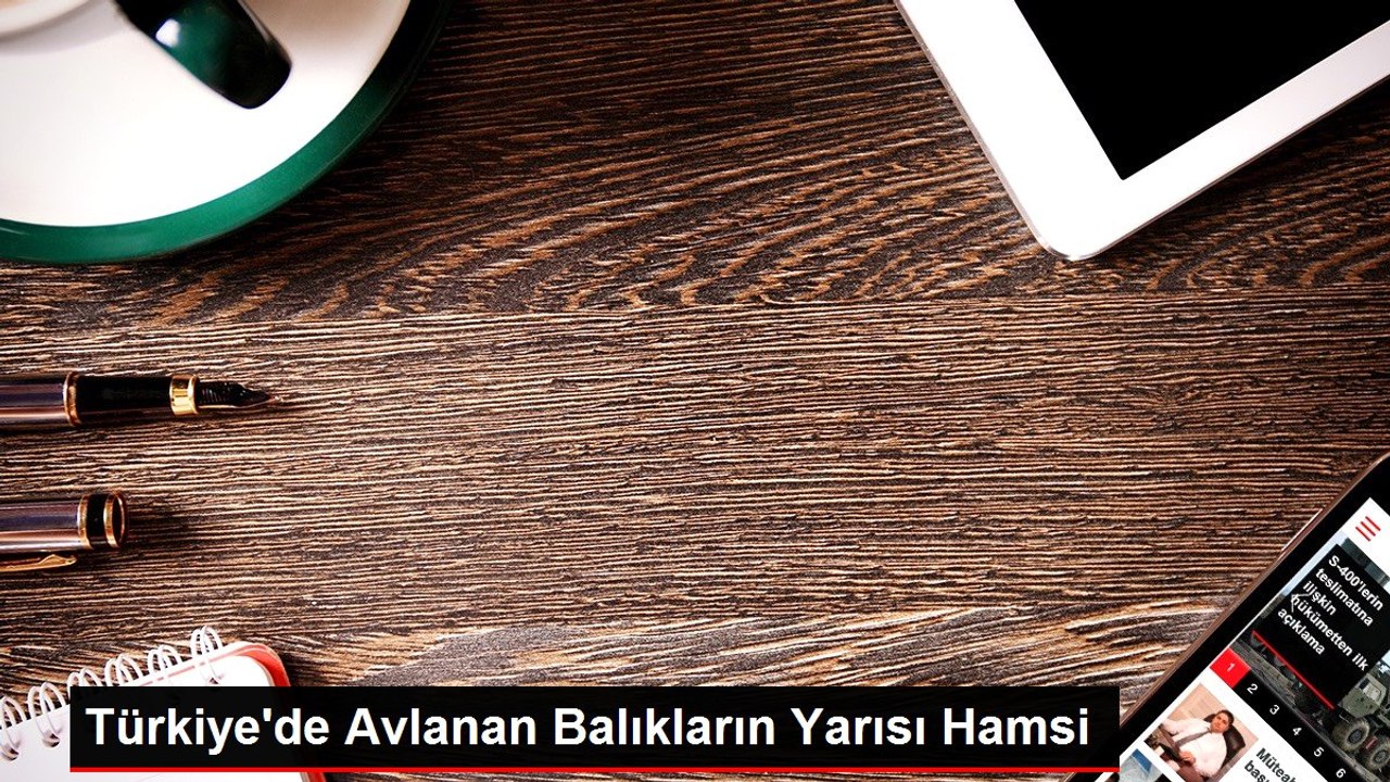 Türkiye'de Avlanan Balıkların Yarısı Hamsi