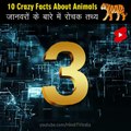Crazy Facts About Animals  _ Amazing Facts _ Random Facts _ Mind Blowing Facts in Hindi #Shorts