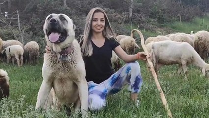 Gündüz hayvanlara bakan kadınlar akşam voleybol oynuyor