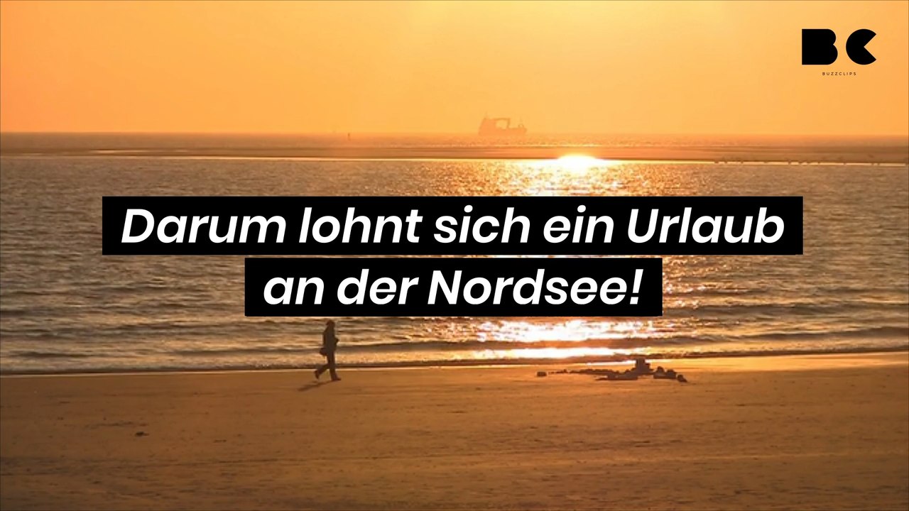 Darum lohnt sich ein Urlaub an der Nordsee!