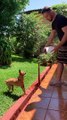 Martial Arts Pup Flips For Water