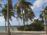 Les Antilles paysages de la Guadeloupe