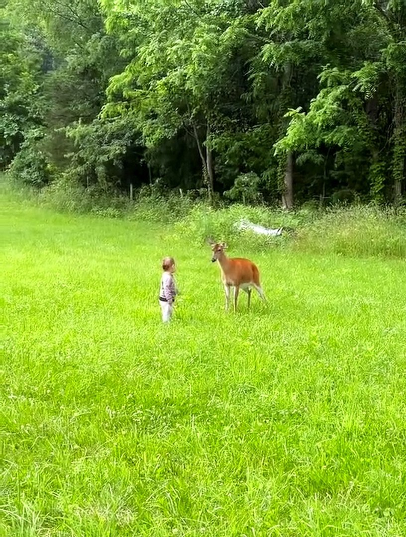 ⁣Boy Learns Local Deer Hate Pets