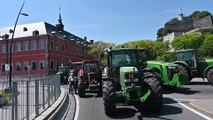 La FWA organise un cortège funèbre à Namur pour dénoncer la mort de l'agriculture wallonne