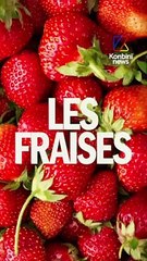 C’est quoi concrètement un monde avec +4 degrés ?